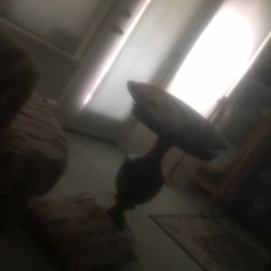 Meet your Posher, Yasamine